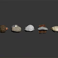Natural Stone Materials with Various Colors and Different Shapes Arranged on Black Background