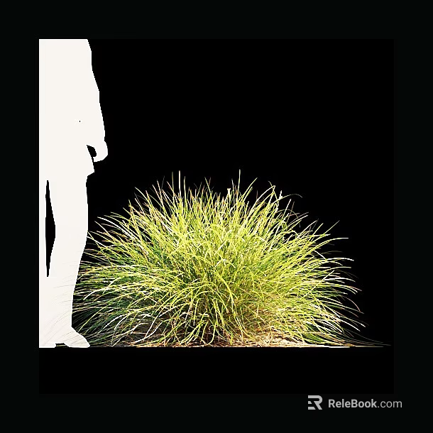 Lush Green Ornamental Grass With Human Silhouette On Black Background 3d model 