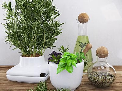 Ornamental Kitchen Decor Set with Rosemary Basil Olive Oil Bottle Mortar and Spice Jar 3d model