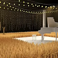 Rustic Outdoor Stage With White Piano Straw Decorations String Lights And Hay Bale Seats