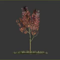 Vibrant Maple Tree With Red Orange Leaves And Yellow Trunk On Green Grass