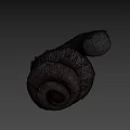 Unique Ancient Spiral Seashell Fossil With Detailed Texture On Dark Background