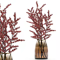 Decorative Red Berry Branches Arranged In Glass Vase For Home Decoration