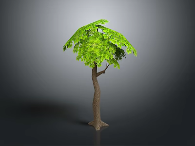 Green Tree with Umbrella Shaped Canopy and Brown Trunk on Gray Background 3d model