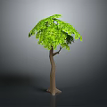 Green Tree with Umbrella Shaped Canopy and Brown Trunk on Gray Background