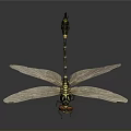 Flying Dragonfly With Red Eyes Black And Yellow Stripes And Transparent Wings
