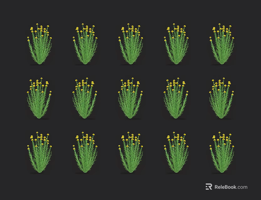 Neatly Arranged Green Plants With Yellow Small Flowers On Black Background 3d model 