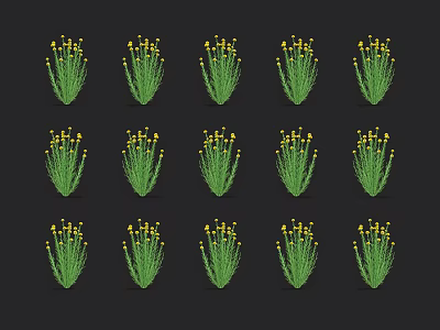 Neatly Arranged Green Plants With Yellow Small Flowers On Black Background 3d model