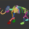 Modern skeleton elephant skeleton bone 3d model