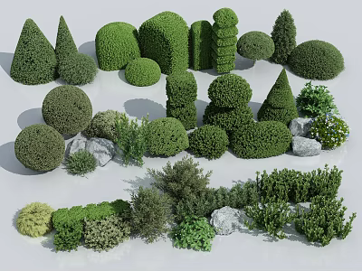 Various Shaped Pruned Shrubs In Different Sizes For Landscape Design With Stones 3d model