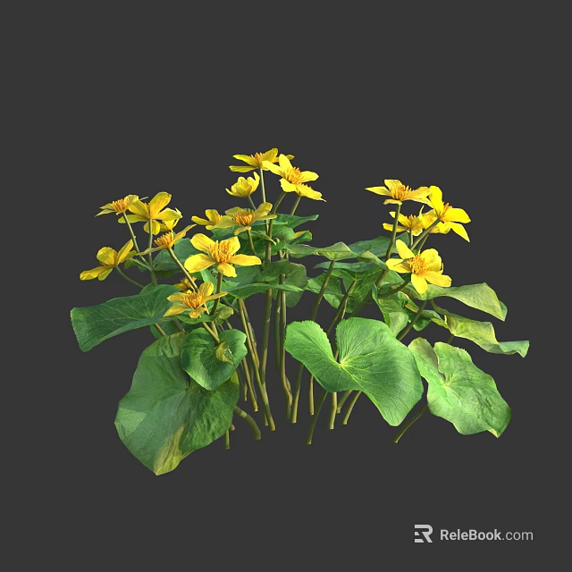 Vibrant Yellow Flowers With Fresh Green Heart Shaped Leaves Blooming Beautifully 3d model 