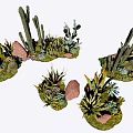 Various Decorative Cactus And Succulent Plants With Stones And Green Grass