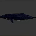 Blue Whale With White Spots On Lifelike 3D Rendered Gradient Background 3d model