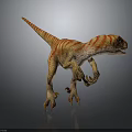 Realistic Velociraptor Dinosaur Model With Orange White Stripes Standing On Gray Background
