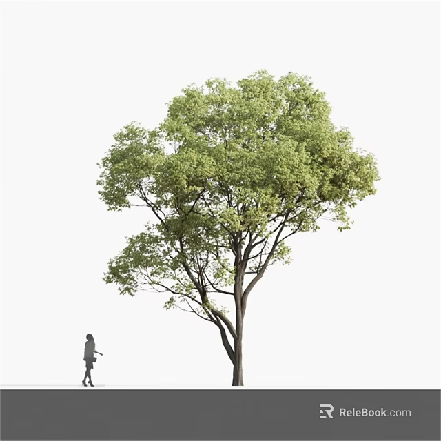 Lush Green Arbor With Dense Foliage And A Person Walking Nearby On White Background 3d model 