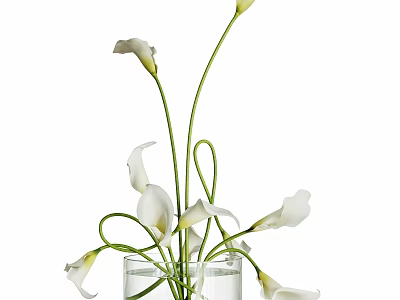 Elegant Decorative Ornament Set with White Calla Lilies in Transparent Glass Vase and Water 3d model