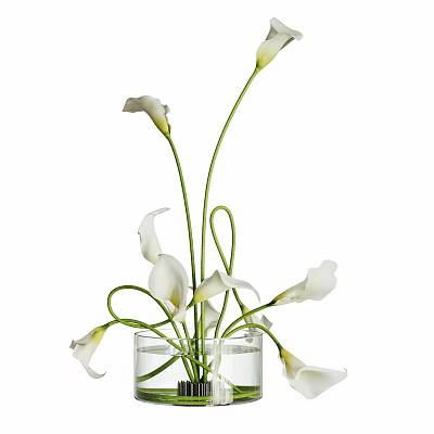 Elegant Decorative Ornament Set with White Calla Lilies in Transparent Glass Vase and Water 3d model