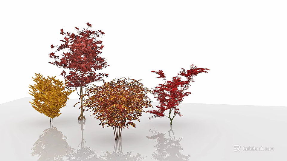 Colorful Decorative Shrubs With Red Yellow Orange Foliage For Garden Landscaping 3d model 
