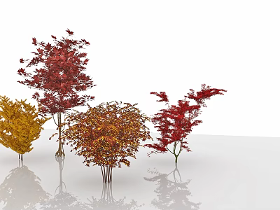 Colorful Decorative Shrubs With Red Yellow Orange Foliage For Garden Landscaping 3d model