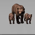Three Brown Bears Adult And Two Cubs Standing Together On Gray Background