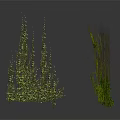 Green Plants With White Background In 3D Model Style Various Heights And Lush Leaves