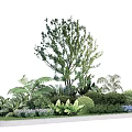 Lush Green Arbor with Ferns Bushes and Blue Flowers in Circular Garden Arrangement