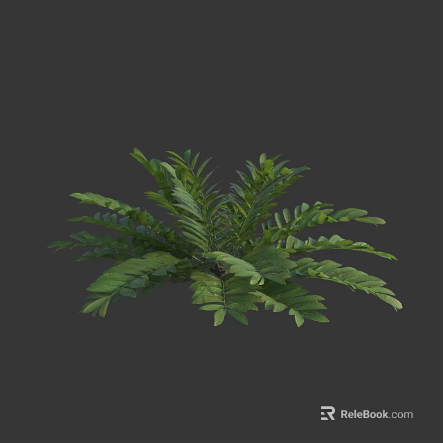 Lush Green Fern Plant With Vibrant Feathery Leaves And Dense Foliage 3d model 