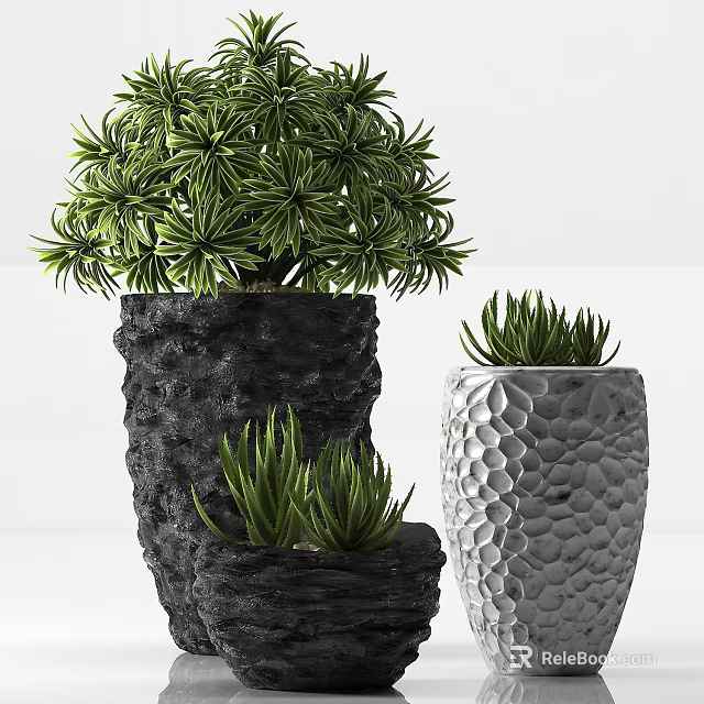 Bonsai Potted Plants Featuring Evergreen Succulents In Rough Textured And Patterned Pots 3d model 