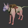 Pink Sphynx Cat Wearing Brown Backpack With Black Flashlight Accessory