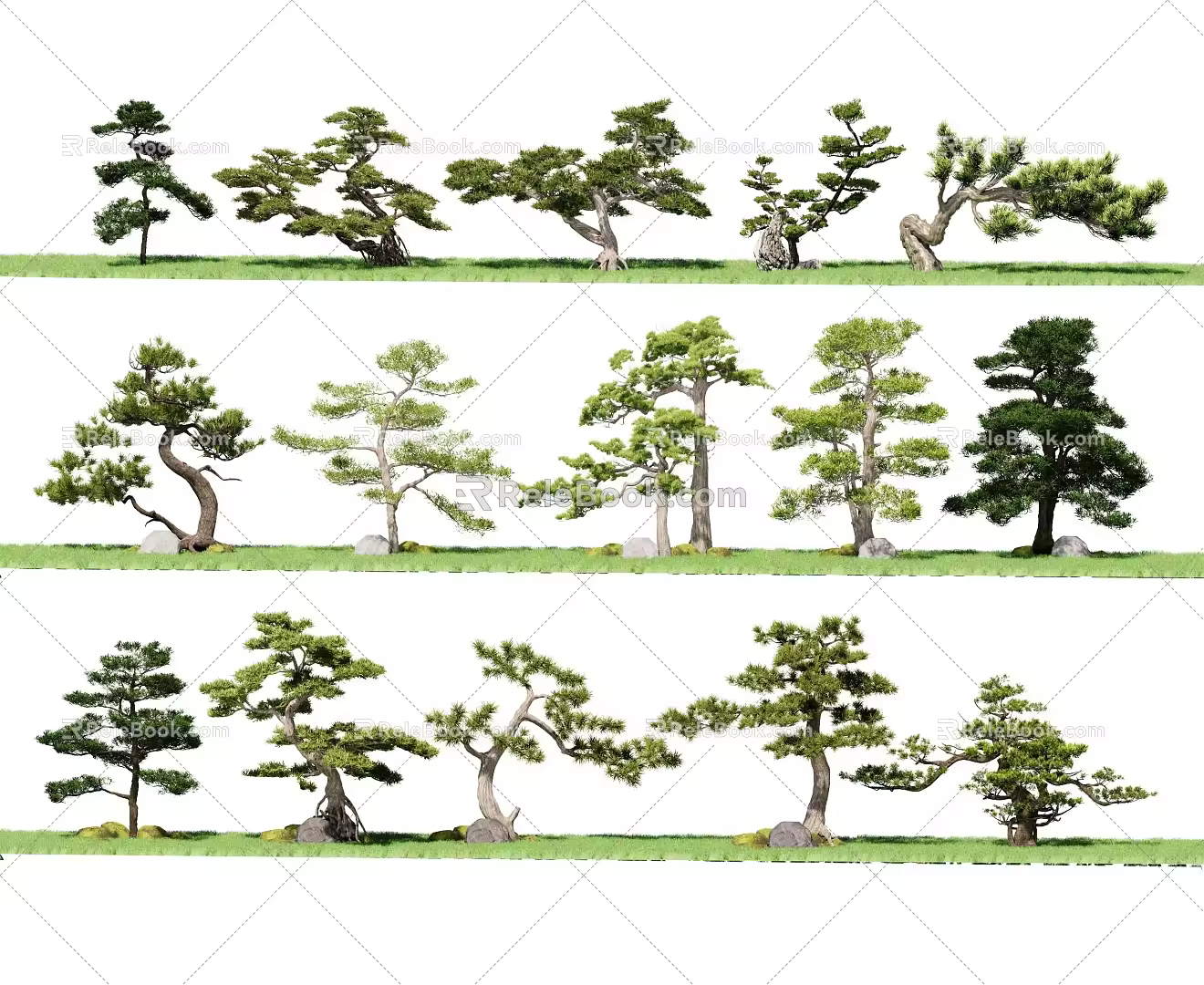 Zen Pine Tree Courtyard Pine Welcome Pine Pohan Pine Landscape Tree Bonsai Bonsai Bonsai Shrub Arbor 3d model