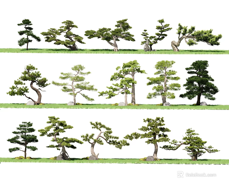 Collection of Various Stylish Arbor Trees with Different Shapes and Green Foliage 3d model 