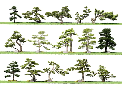Collection of Various Stylish Arbor Trees with Different Shapes and Green Foliage 3d model