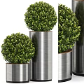 Green Spherical Topiary Potted Plants In Metallic Cylindrical Planters With Various Heights