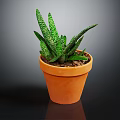 Spotted Green Succulent Plant With Long Pointed Leaves In Terracotta Pot For Indoor Decor