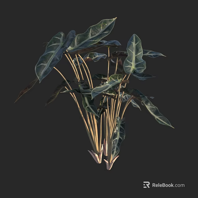 Lush Green Plants With Large Leaves And White Stripes On Golden Stems 3d model 