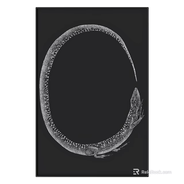 Black and White Line Art Animal Drawing of Eel in Circular Long Slender Form 3d model 