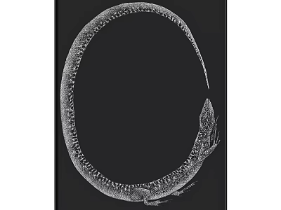Black and White Line Art Animal Drawing of Eel in Circular Long Slender Form 3d model