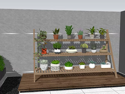 Multi tiered Wooden Shelf Displaying Various Bonsai and Potted Plants for Indoor Decor 3d model