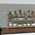 Multi tiered Wooden Shelf Displaying Various Bonsai and Potted Plants for Indoor Decor