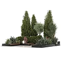 Stylish Tree Planter With Tall Trees Shrubs And Various Small Plants Design