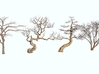 Arbor Trees With Bare Branches Twisted Trunks And Various Shapes In Row 3d model