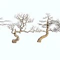 Arbor Trees With Bare Branches Twisted Trunks And Various Shapes In Row 3d model