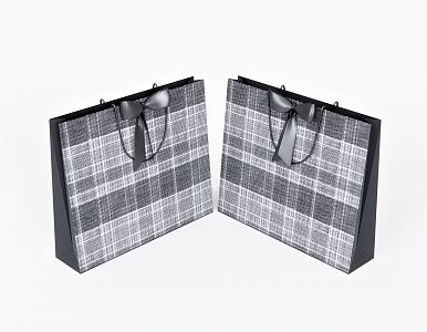 Modern Bag Luggage Paper Bag Shopping Bag 3d model