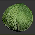 Fresh Green Cabbage With Prominent Veined Texture On Dark Background And Reflection 3d model