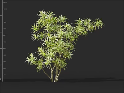 Lush Green Shrub With Dense Foliage And Multiple Branches In Natural Form 3d model