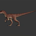 Realistic Red Velociraptor Dinosaur 3D Render In Walking Pose With Detailed Texture 3d model