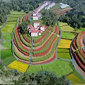 Colorful Terrace Fields Scenery With Green Red Yellow Crops And Winding Paths Near Village