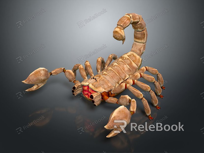 Five Striped Scorpion Karoleni Scorpion Italian Scorpion Mexican Scorpion Soves Scorpion East Asian Piners Scorpion Scorpion Scorpion model