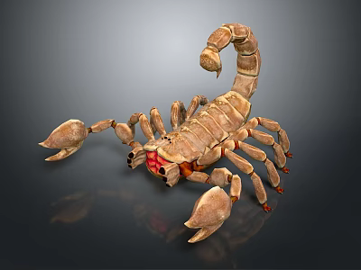 Detailed Brown Scorpion Reptile With Curved Tail And Red Eyes On Gray Background 3d model