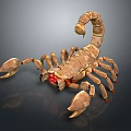 Detailed Brown Scorpion Reptile With Curved Tail And Red Eyes On Gray Background